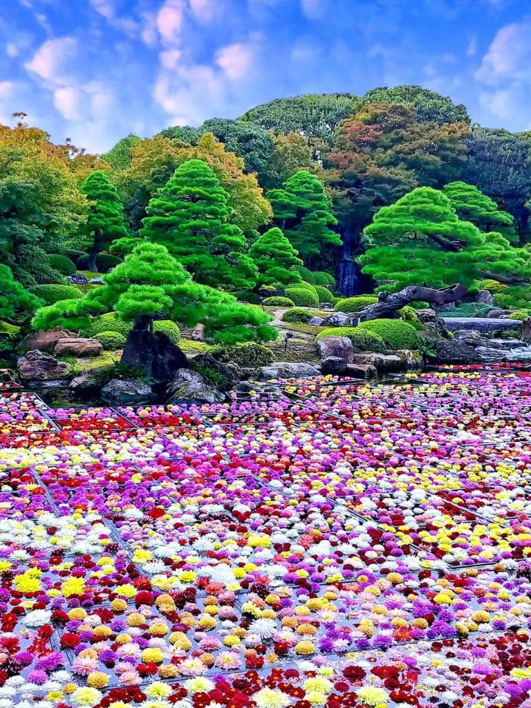 周辺・観光情報