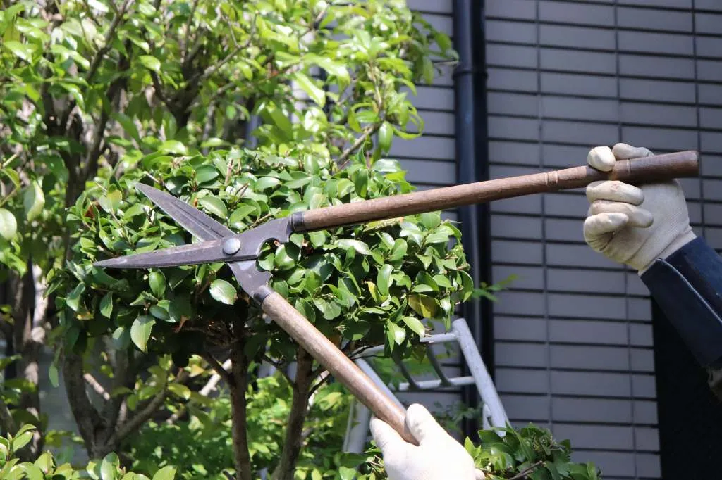 枝木の剪定や伐採