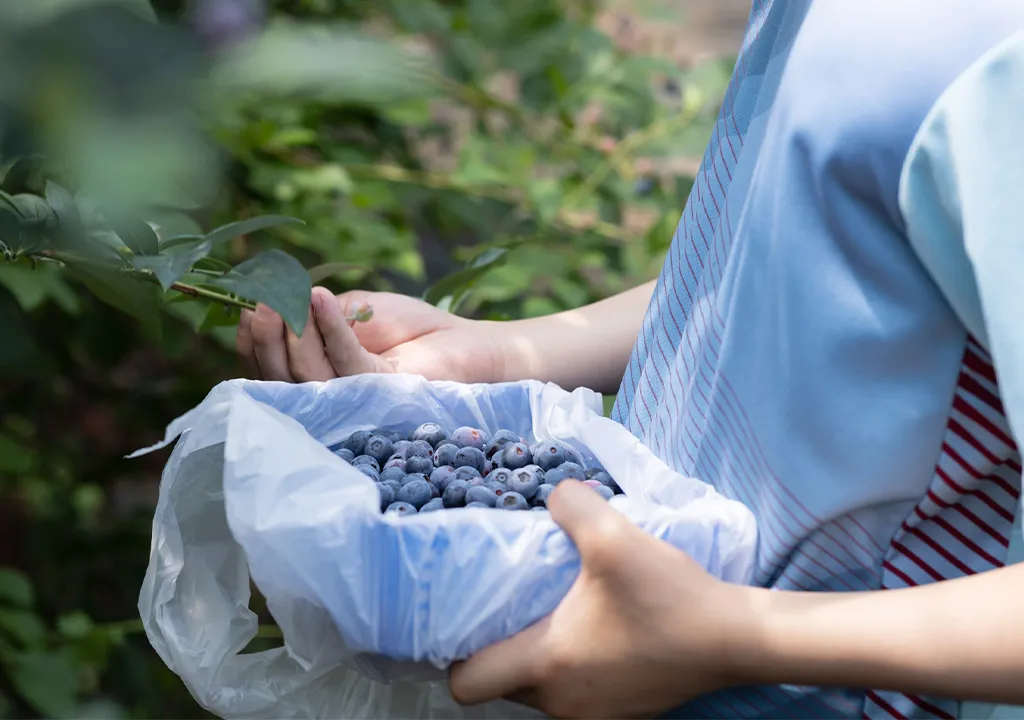 人的ミスやバラつきを減らす