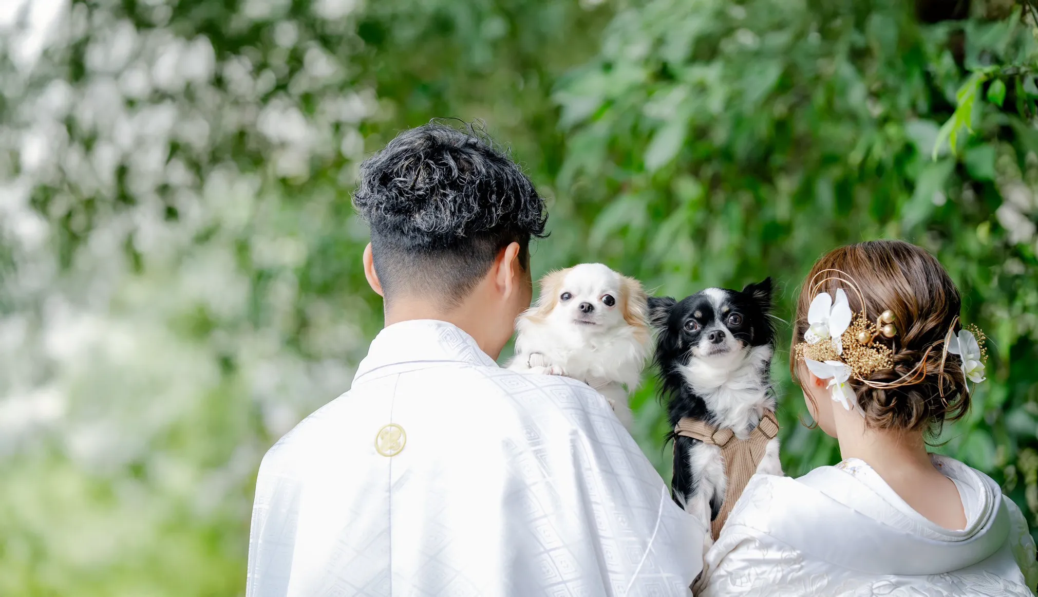 昼はカフェ、夜は居酒屋。八女郡広川町のペット可の当店は、口コミで愛されるお店を目指しています!