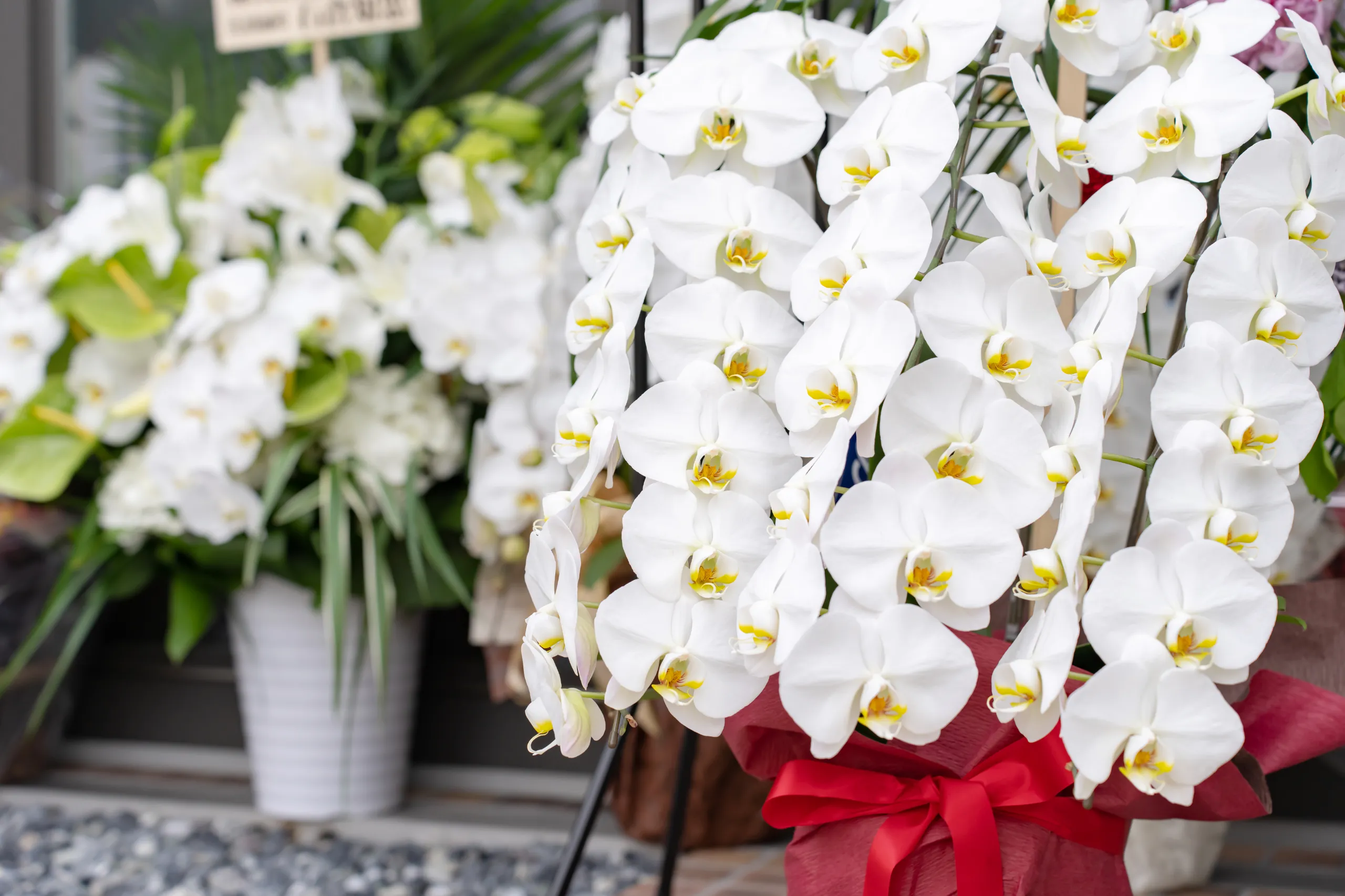プレゼントやお供えの花なら札幌市白石区・東区のフラワーショップが安心して選べる一束をお届けいたします