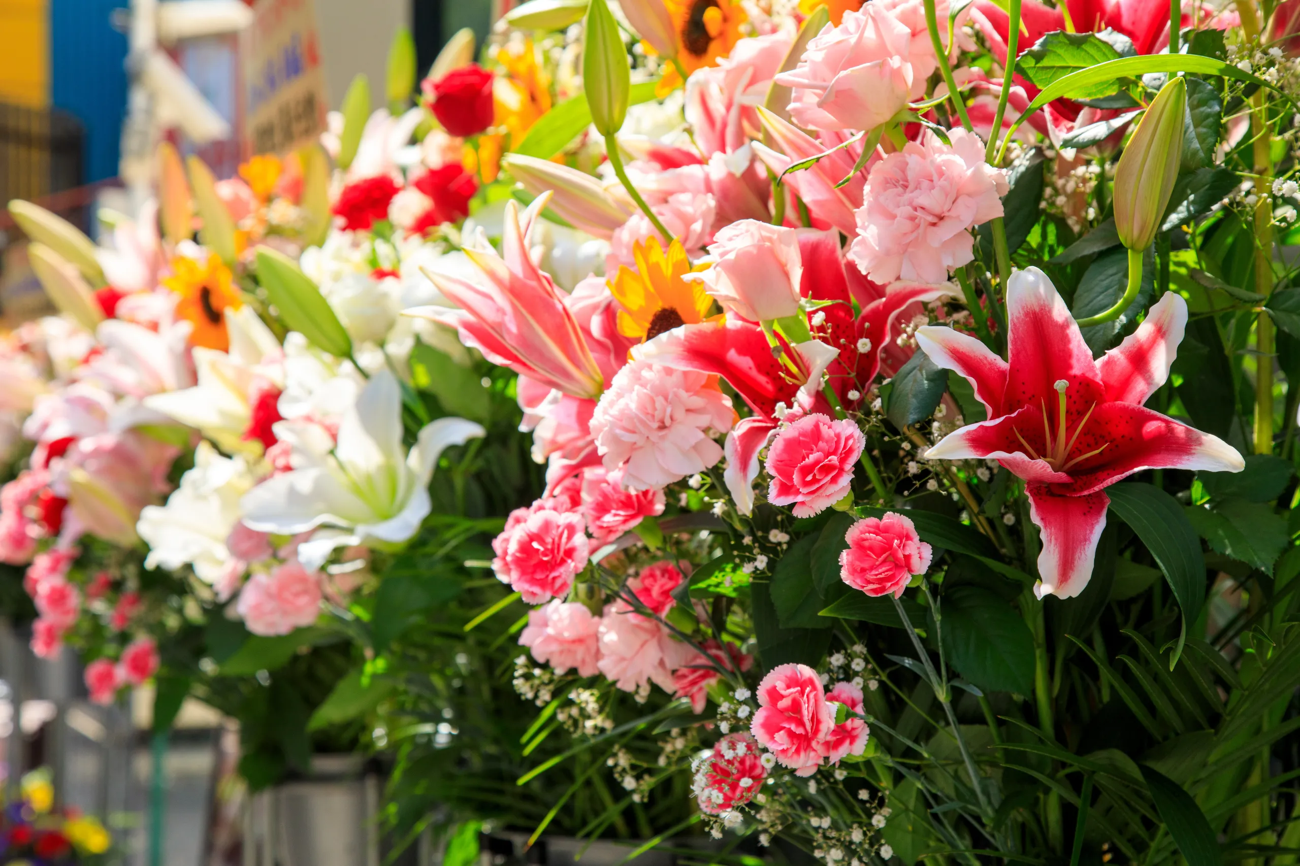プレゼントやお供えの花なら札幌市白石区・東区のフラワーショップが安心して選べる一束をお届けいたします
